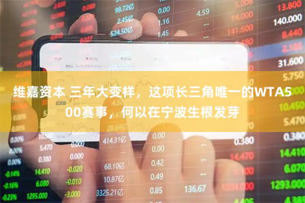 维嘉资本 三年大变样，这项长三角唯一的WTA500赛事，何以在宁波生根发芽